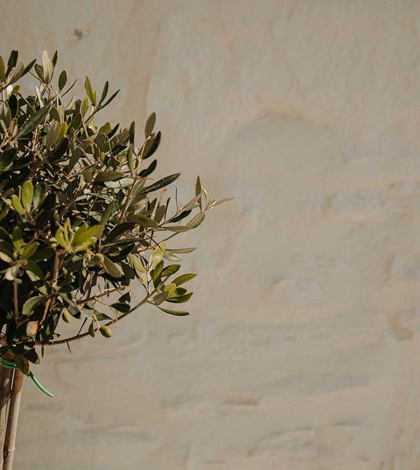 Villa Aelia in Folegandros