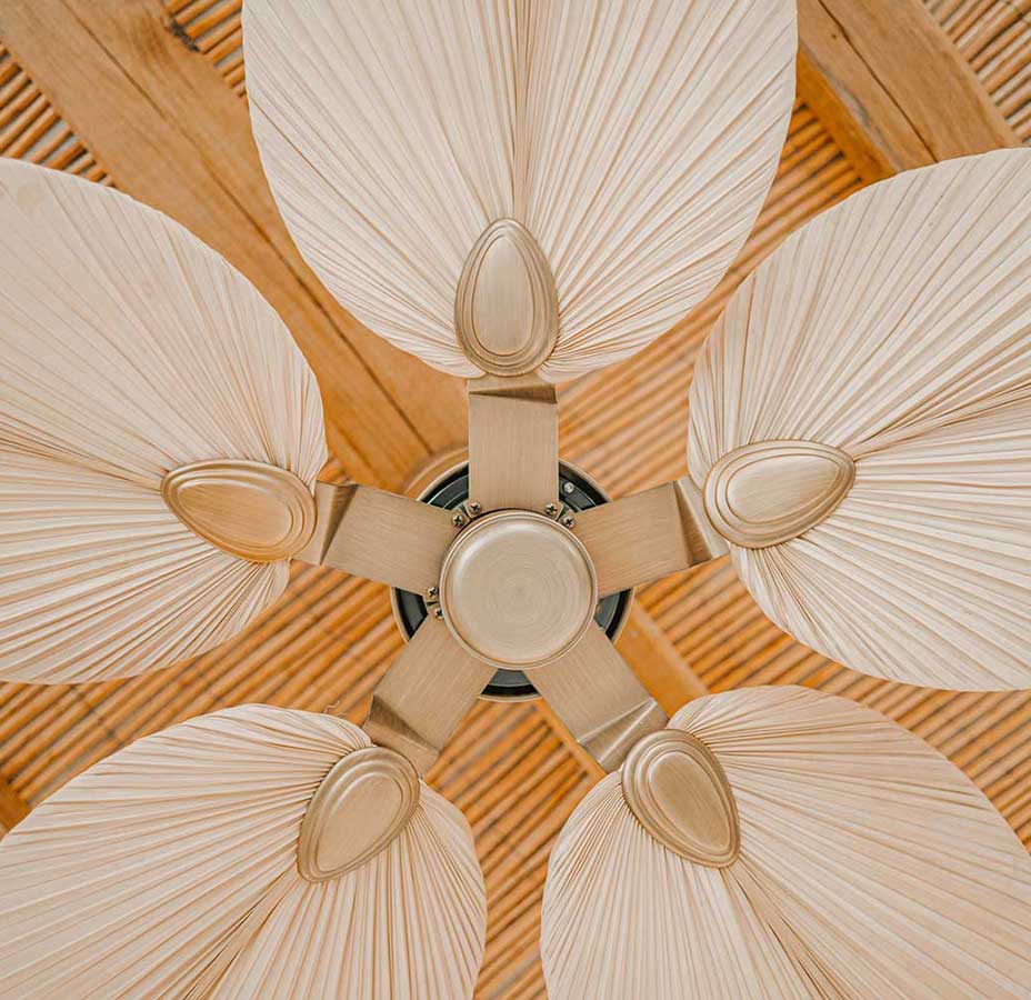 Ceiling fan